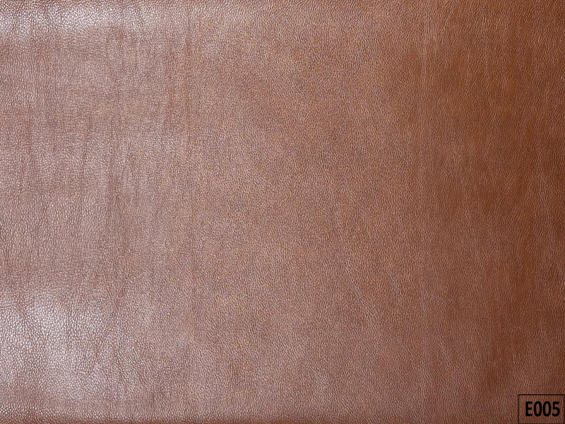 E005