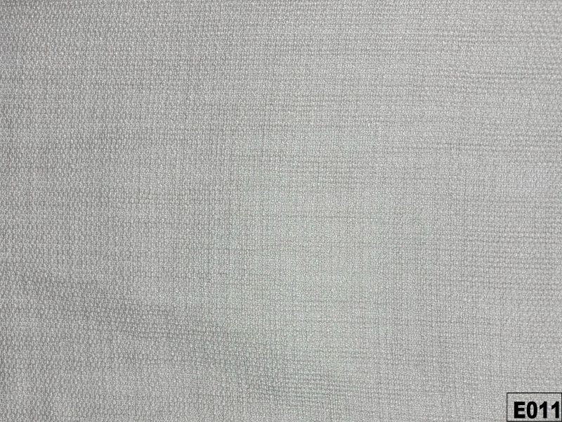 E011
